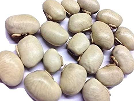 White kaunch seed