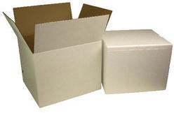 Cardboard Insulated Shipping Box, Color : White