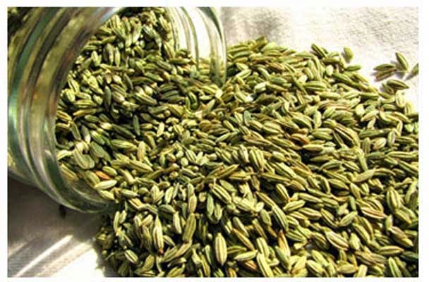 Organic fennel seeds, Certification : FSSAI Certified