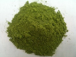 Organic Dehydrated Moringa Leaves Powder, Shelf Life : 1year