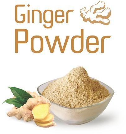 Pure Ginger Powder, Packaging Type : Plastic Packet