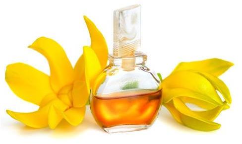 Ylang Ylang Oil, for Perfumes, Feature : Improve Hair-shaft Width