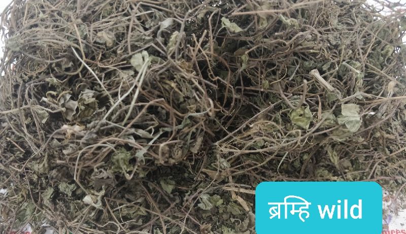 Bramhi Panchang (Centilla Wild Whold Plant), for Ayurvedic Medicine, Cosmetic, Food Supplement, Pharmaceuticals