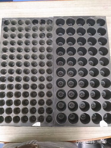 Plastic Polished Agriculture Seedling Tray, Size : 50 Cavity 98 Cavity Etc.