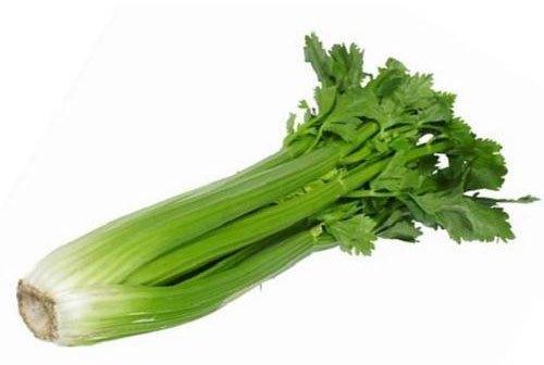 Fresh Celery Leaves