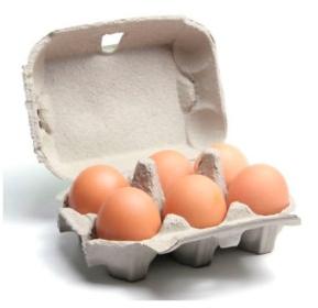 Pulp Egg Tray at Best Price in Mumbai - ID: 5920992 | Neeyog Packaging