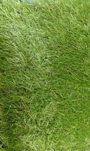 Artificial Outdoor Grass