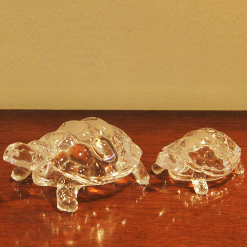 Crystal Turtles
