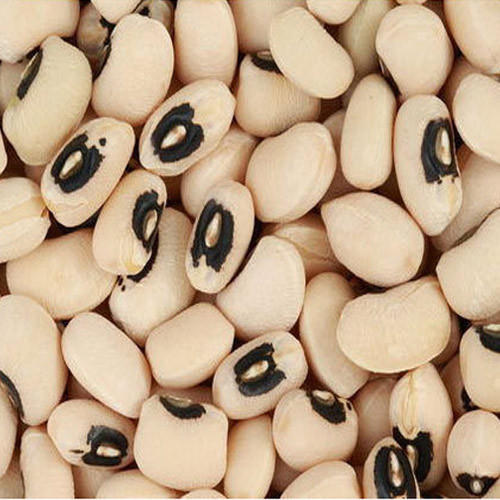 Black Eyed Beans, Packaging Type : Jute Bag