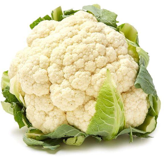 Fresh Cauliflower, for Cooking
