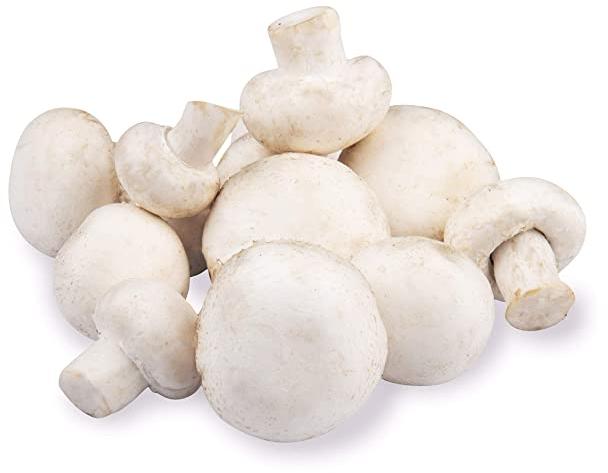 Round Organic Fresh Mushroom, for Cooking, Color : White