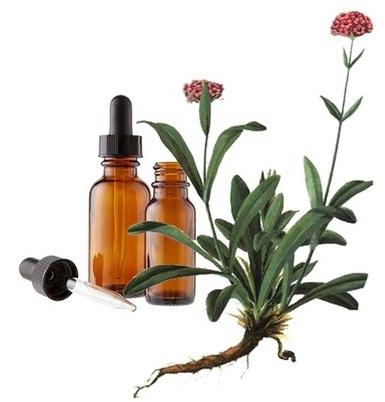 Herbal Jatamansi Essential Oil, Feature : Anti-biotic, Anti-fungal, Anti-infectious