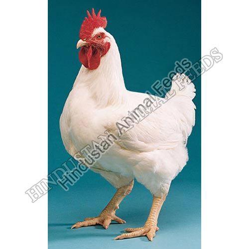 Broiler Finisher Poultry Feed