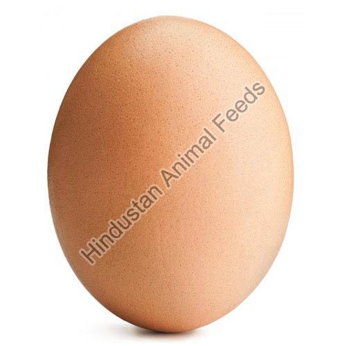 Egg Laying Chicken Concentrate 22.5%