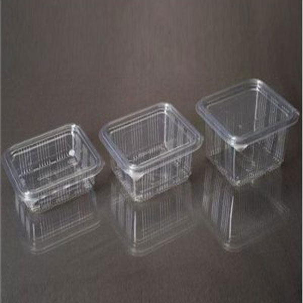 Rectangle Hinged Boxes, Color : Transparent
