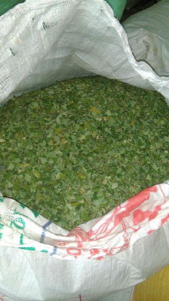 SVM EXPORTS Green Common Quality Moringa Dried Leaves, for Cosmetics, Medicine, Grade : 1st