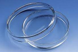 SimSil Round Glass Petri dish