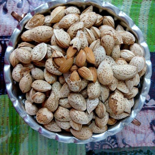 Hard Organic Kashmiri Kagzi Almonds, for Dry Fruits, Grade : A+