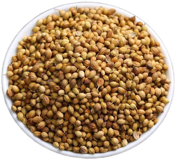 Organic coriander seeds, for Cooking, Spices, Grade Standard : Food Grade
