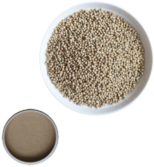 Organic white pepper, for Cooking, Spices, Specialities : Good Quality