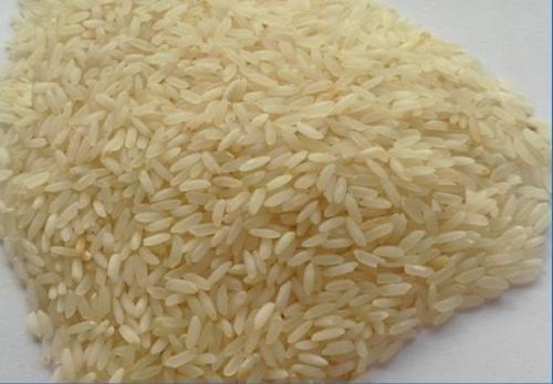 Swarna Steam Non Basmati Rice, Packaging Size : 5, 10, 25kg
