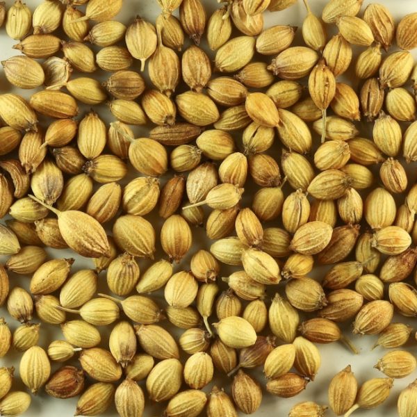 Brown Organic coriander seeds, for Cooking, Certification : FSSAI Certified