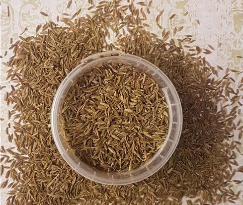 Organic cumin seeds, Certification : FSSAI Certified