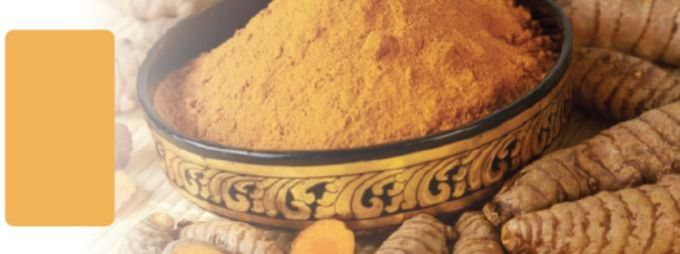 Curcumin Food Color, For Cooking, Style : Dried