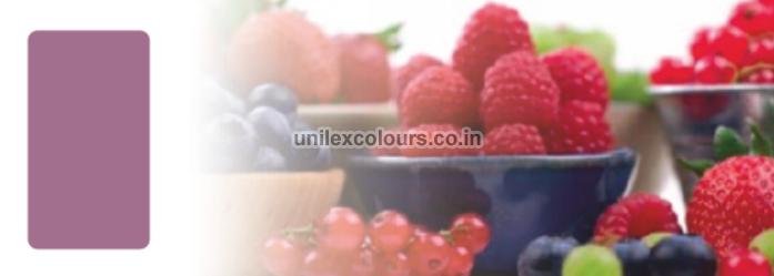 Anthocyanin Food Color, for Cooking, Style : Dried