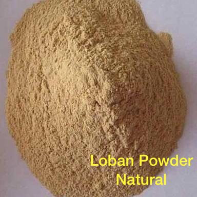 Loban powder, Purity : 100%