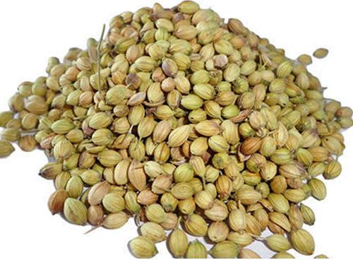 coriander seeds