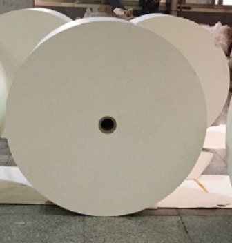 Poly Coated Paper Rolls