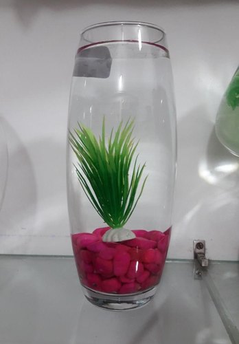 Mini Aquarium, Size : 10 inch