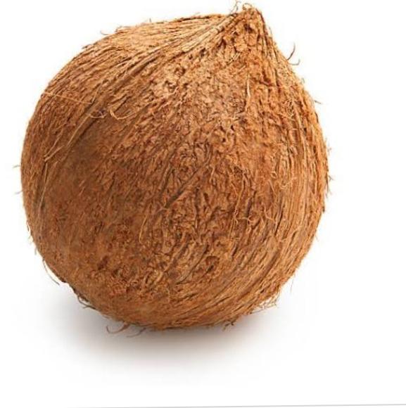 Natural coconut, Form : Solid