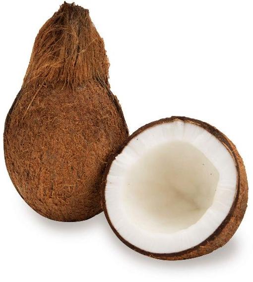 Hard Organic Fresh Coconut, Color : Brown
