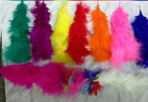 Fur Feathers