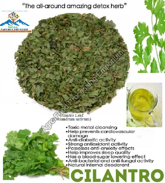 Common Cilantro Leaf Tea, INR 2,000INR 2,500 / kg by Agro Food