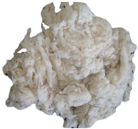 Cotton Organic Comber Noil, Purity : 99% Purity