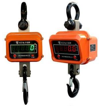 Electronic Crane Scale