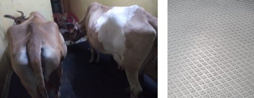 Being Safe 28 Kgs Hammer cow mat, Size : 4 Ft X 6 Ft