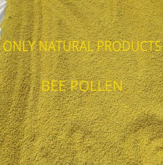 Granules Bee Pollen, For Clinical, Personal, SUPPLIMENT, Purity : 100%