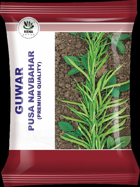 Guwar Pusa Navbahar Seeds