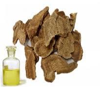 Costus Root Essential Oil, for Cosmetics Purpose, Feature : Hygienically Packed, Rich Aroma