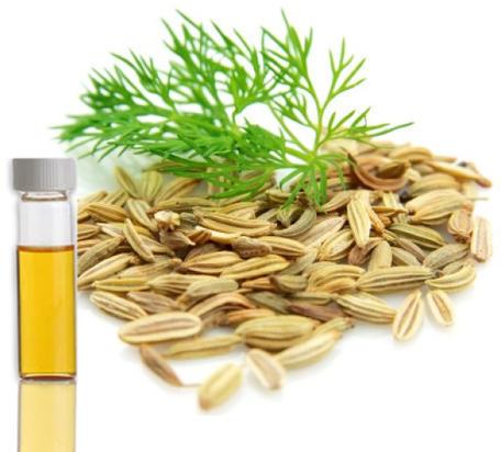 Dill Seed Essential Oil