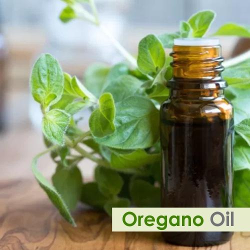 Oregano Essential Oil, Purity : 100 % Pure