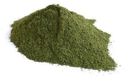 Herbal Creative Alfalfa Extract, Form : Powder