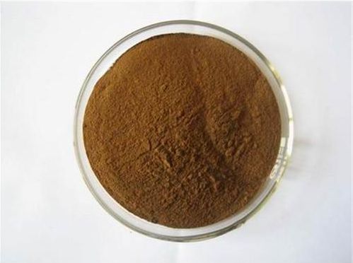 Black Tea Extract, Botanical Name : Camellia Sinensis