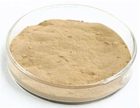Herbal Creative Bromelain Extract, Packaging Type : Bag, Packet