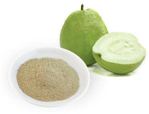 Guava Extract, Form : Powder