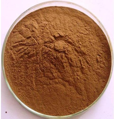 Herbal Creative Hoodia Extract, Packaging Type : Drum, Bag, Packet